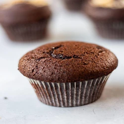 Chocolate Plain Cupcakes