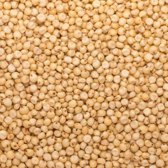 natural-food-grains-2.webp