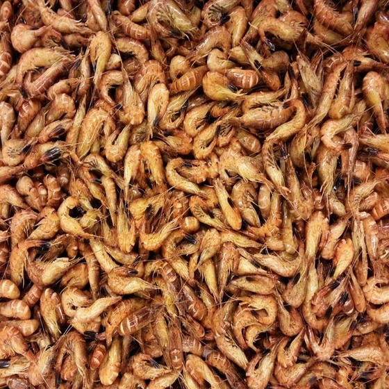 light-brown-prawns-2.webp