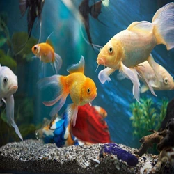Artificial Aquarium Fish