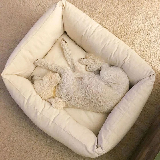 wool-pet-bed-1.webp