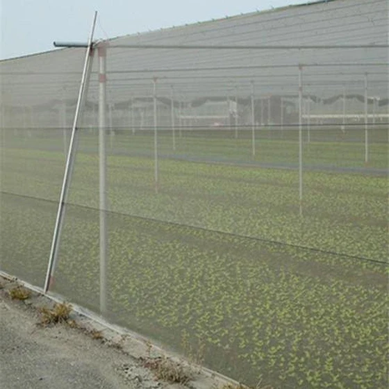agricultural-insect-net-1.webp