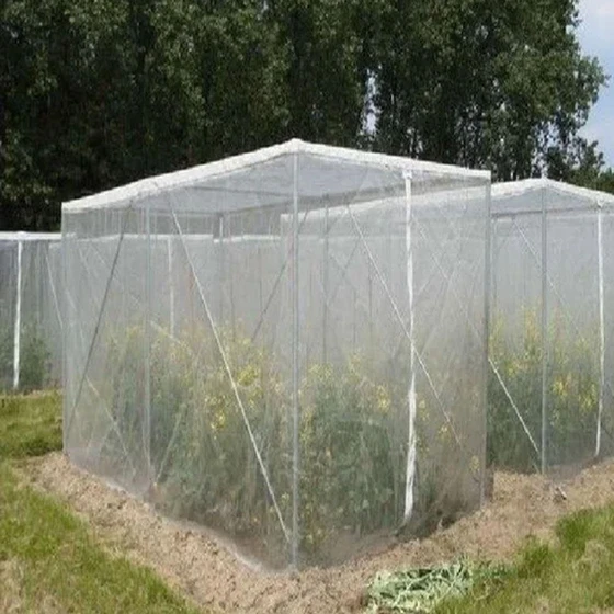 agricultural-insect-net-2.webp
