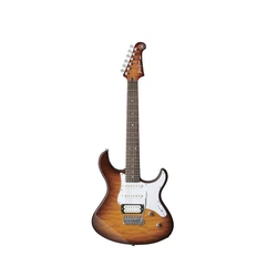 Pacifica Electric Guitars
