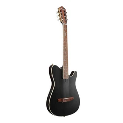 Ibanez Acoustic Guitar
