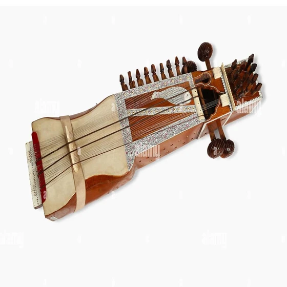 classical-indian-sarangi-2.webp