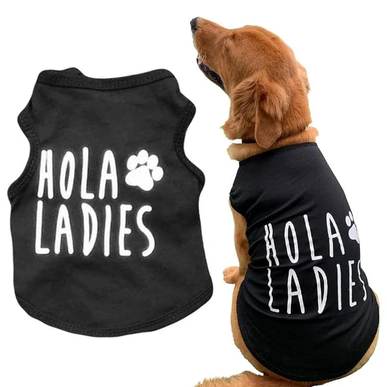 clothing-pet-accessories-2.webp