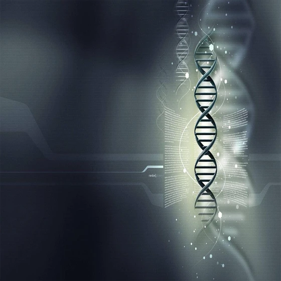 nano-wallpaper-2.webp