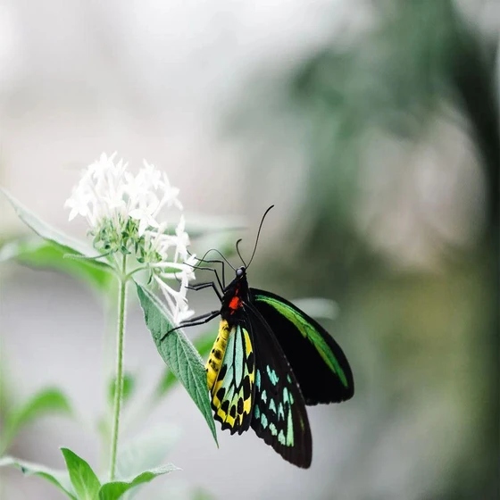 nature-photography-2.webp