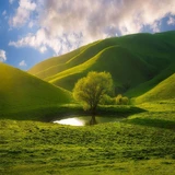 Nature Photography