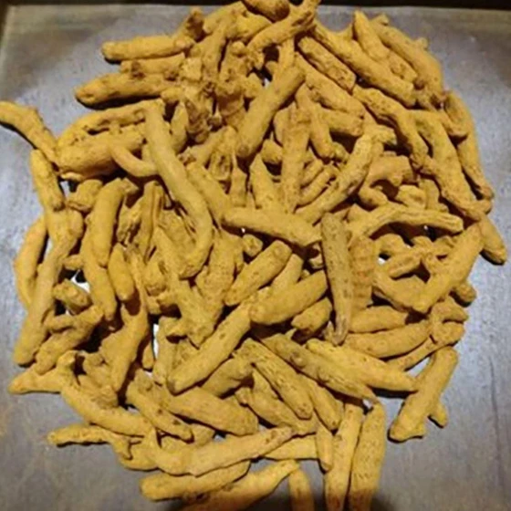 yellow-turmeric-fingers-2.webp