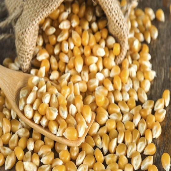 herbal-dried-maize-1.webp