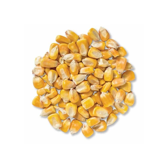 herbal-dried-maize-2.webp
