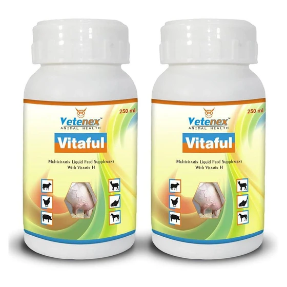 cattle-multivitamin-liquid-1.webp