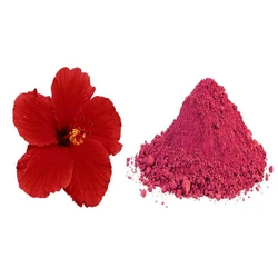 Hibiscus Flower Herbal Powder