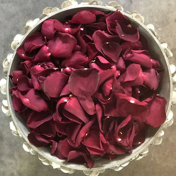 freeze-rose-petals-2.webp