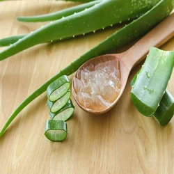 Fresh Aloe Vera Gel