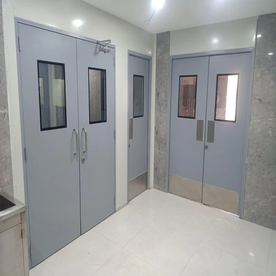 modular-clean-room-door-2.webp