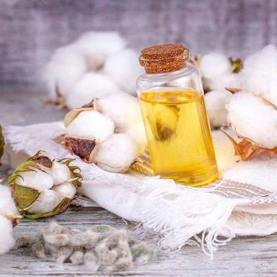 cotton-seed-oil-2.webp