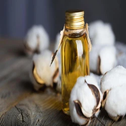 Cotton Seed Oil