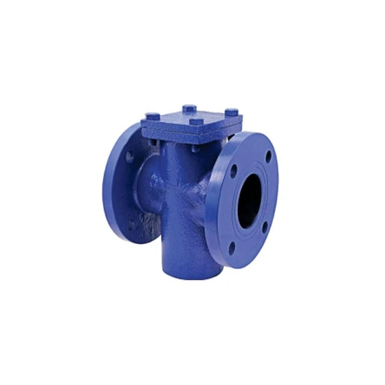 t-flanged-strainer-2.webp