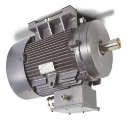 Multi Speed Motor