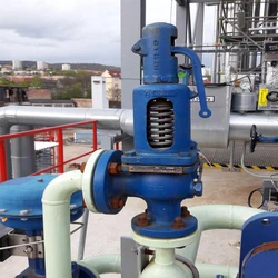 Relief Safety Valve