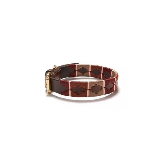 dog-polo-collar-2.webp