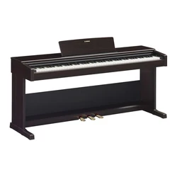 Digital Pianos