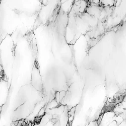 White Marble Tiles