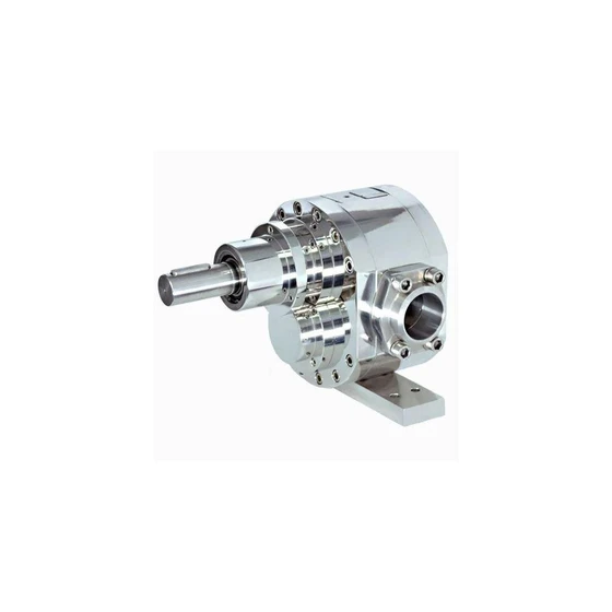 gear-stainless-steel-pumps-2.webp