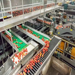 Food Processing Plant
