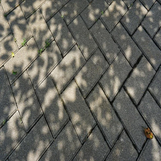 cement-paving-blocks-2.webp