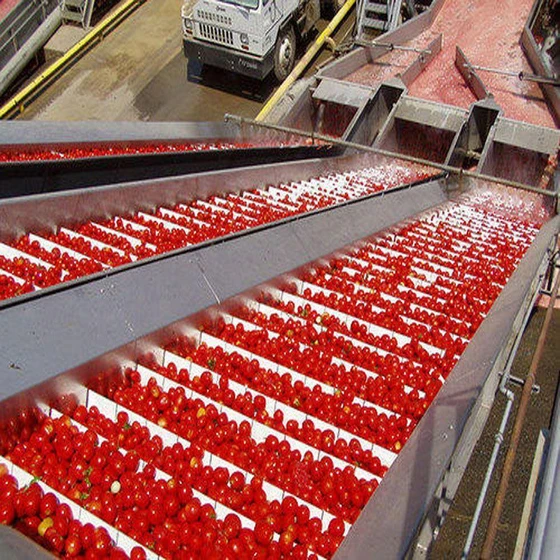 tomato-processing-plants-1.webp