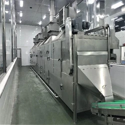 Mango Processing Plant