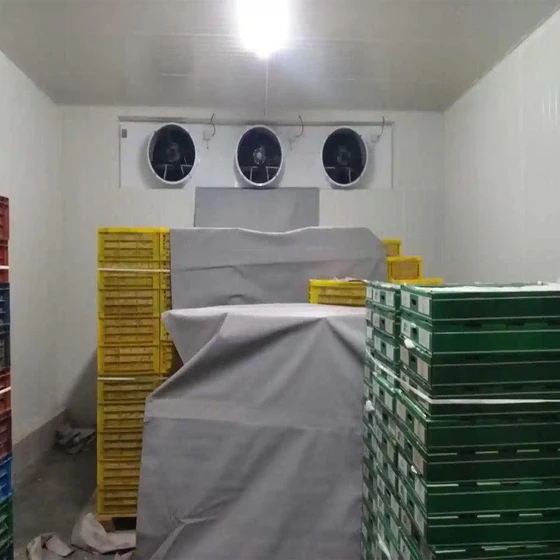 mango-cold-room-2.webp