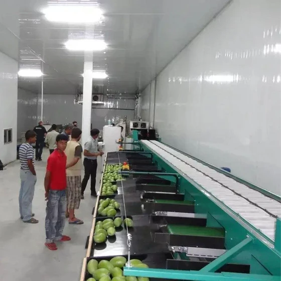 frozen-food-processing-plant-1.webp