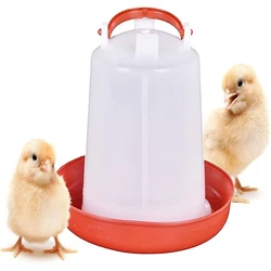 Poultry Water Feeder