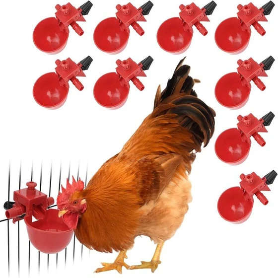 poultry-chicken-drinker-2.webp