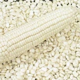 White Dry Corn