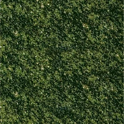 Green Seaweed Granite Tiles