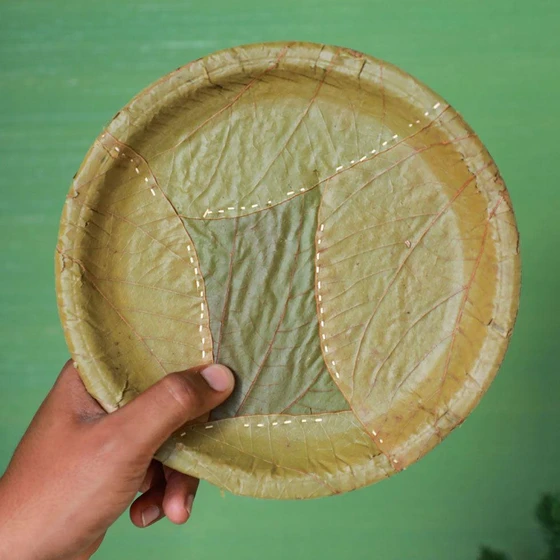 natural-leaf-plate-2.webp