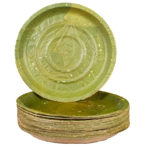 leaf-biodegradable-plates-2.webp