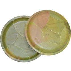 Leaf Biodegradable Plates
