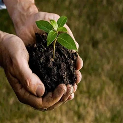 Soil Conditioner