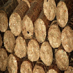 Briquettes Bio Coal