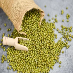 Mung Green Beans