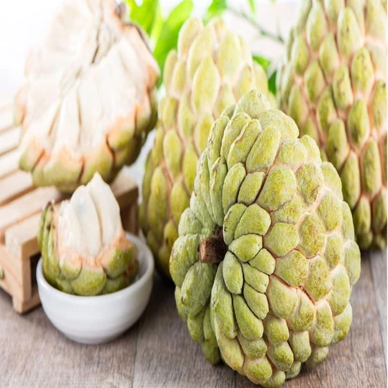 custard-apple-pulp-2.webp