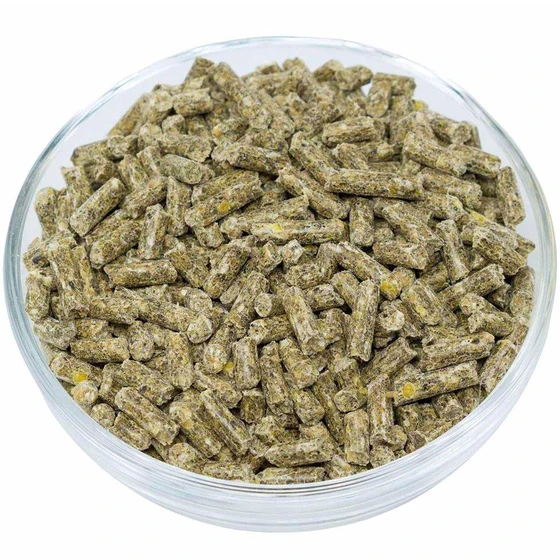 organic-lamb-feed-2.webp