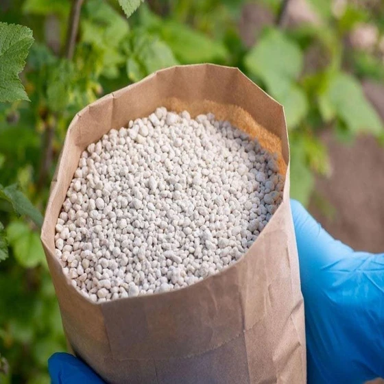 organic-agricultural-fertilizer-2.webp